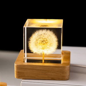 5cm square dandelion