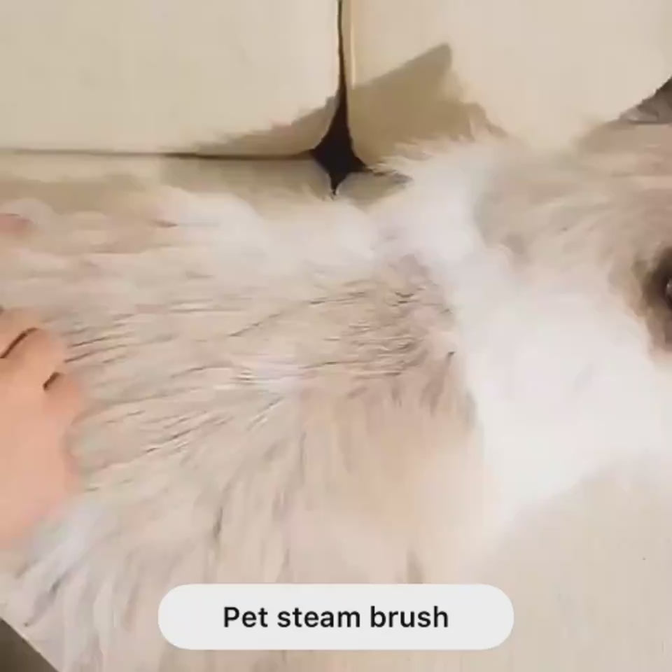 Multifunctional grooming brush